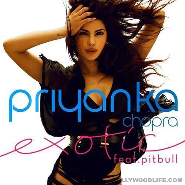 Priyanka chopra exotic, pitbull